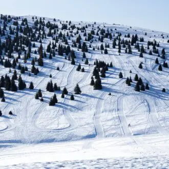 Monte Pora slopes