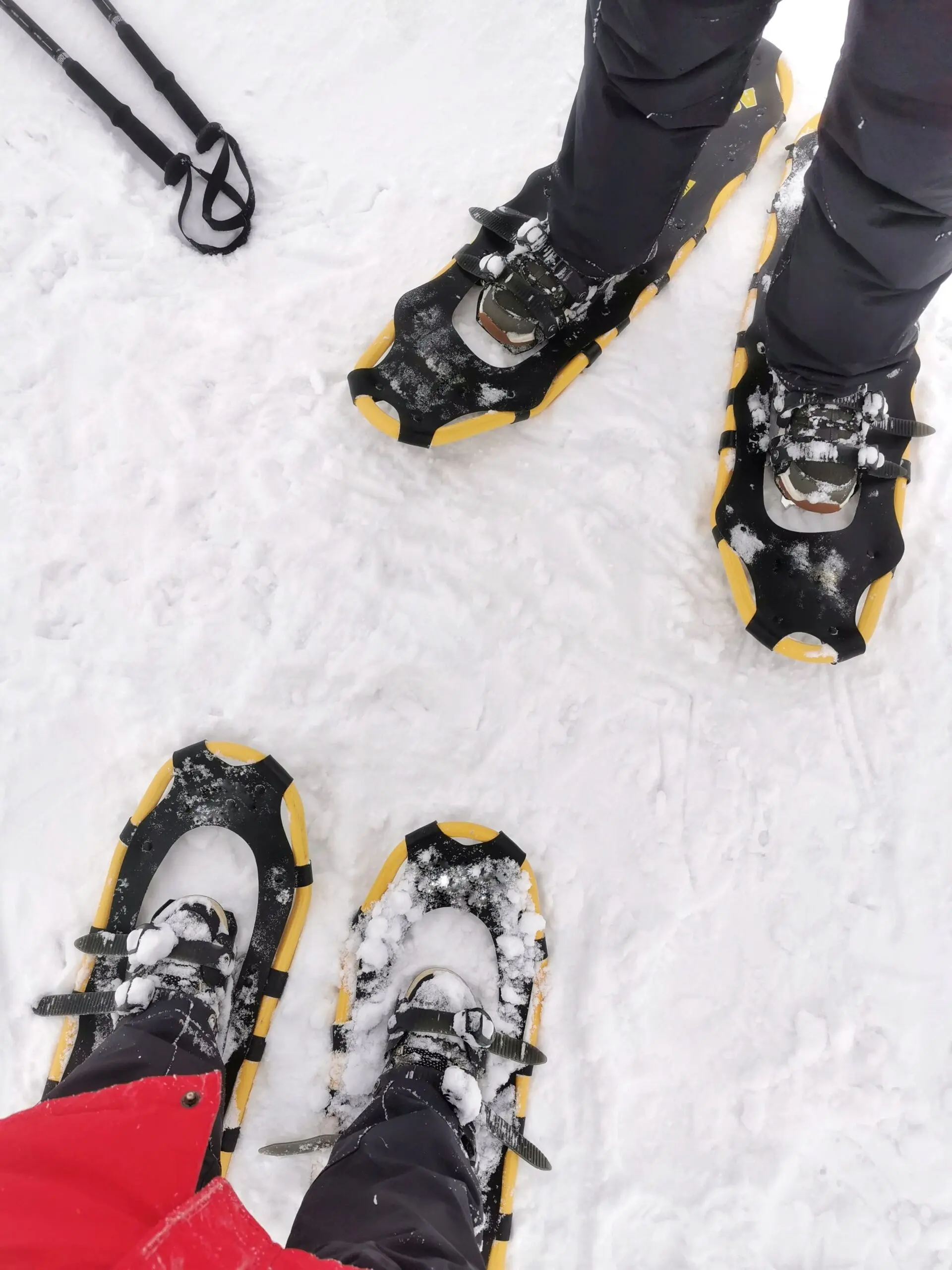 Two pairs of legs in snowshoes on winter landscape ready for an outdoor trek in a snowy environment. Winter sports and outdoor activities, snowshoeing