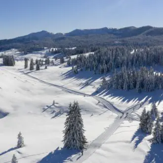 Folgaria