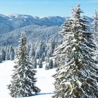 Ski resort Pamporovo in the Rhodopes mountaines, Pamporovo, Bulgaria.
